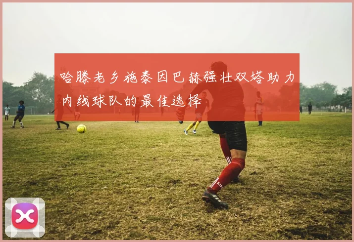 哈滕老乡施泰因巴赫强壮双塔助力内线球队的最佳选择
