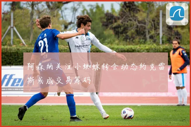 阿森纳关注小蜘蛛转会动态约克雷斯或成交易筹码