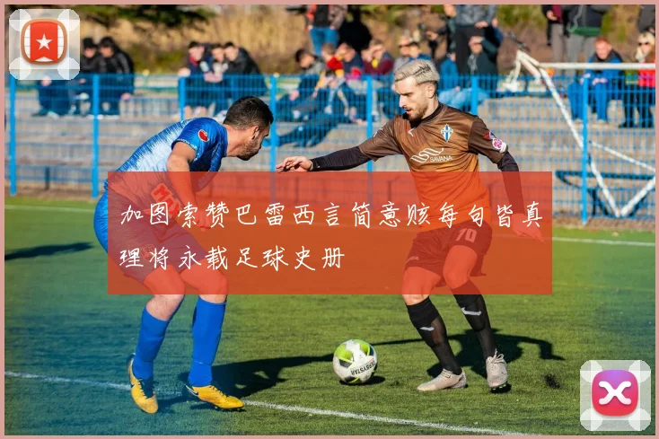 加图索赞巴雷西言简意赅每句皆真理将永载足球史册