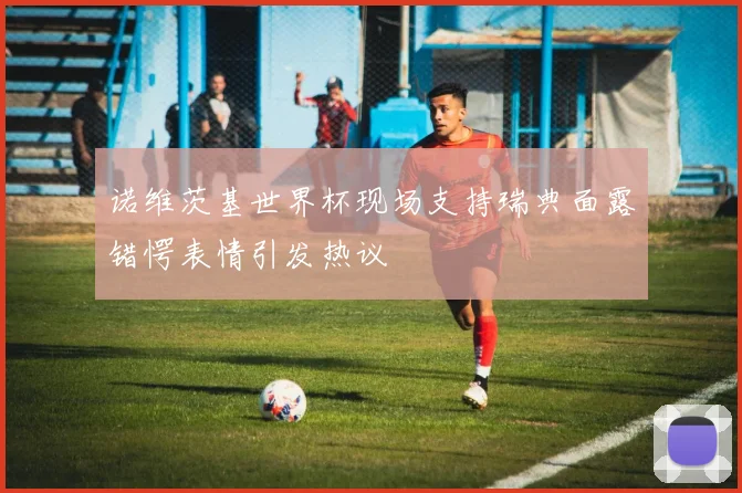 诺维茨基世界杯现场支持瑞典面露错愕表情引发热议